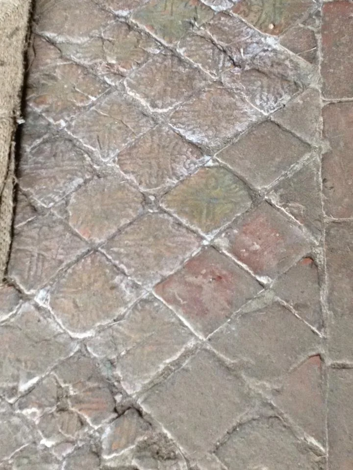 floor 206053_10151773948585447_982504695_n.jpeg