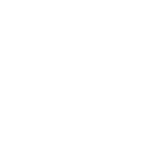 HISTORY OUTLINE_FORTRESS.png