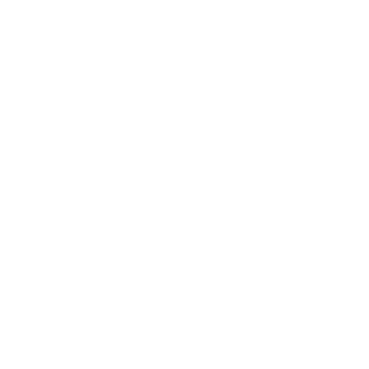HISTORY OUTLINE_STONE AGE.png