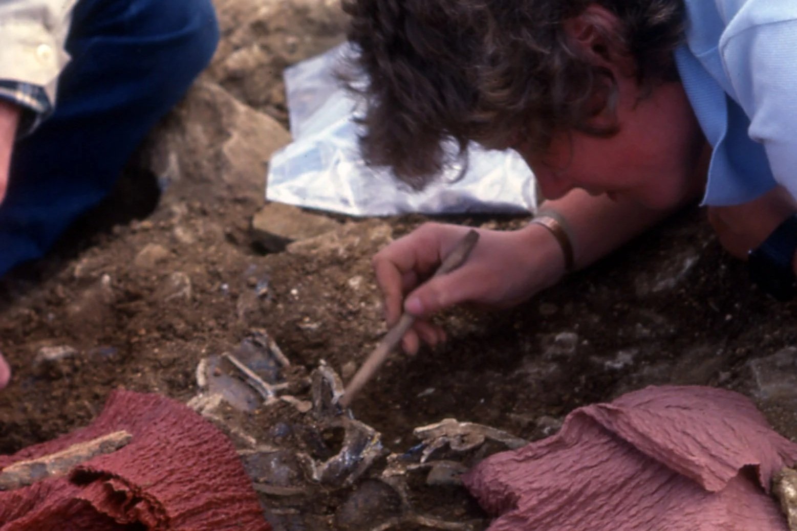 Archaeology Day