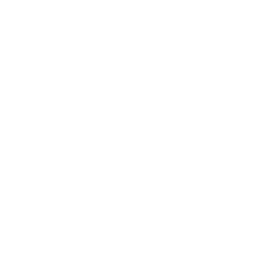 HISTORY OUTLINE_MAYA.png