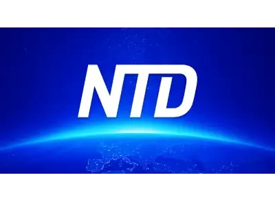 NTD Logo.webp