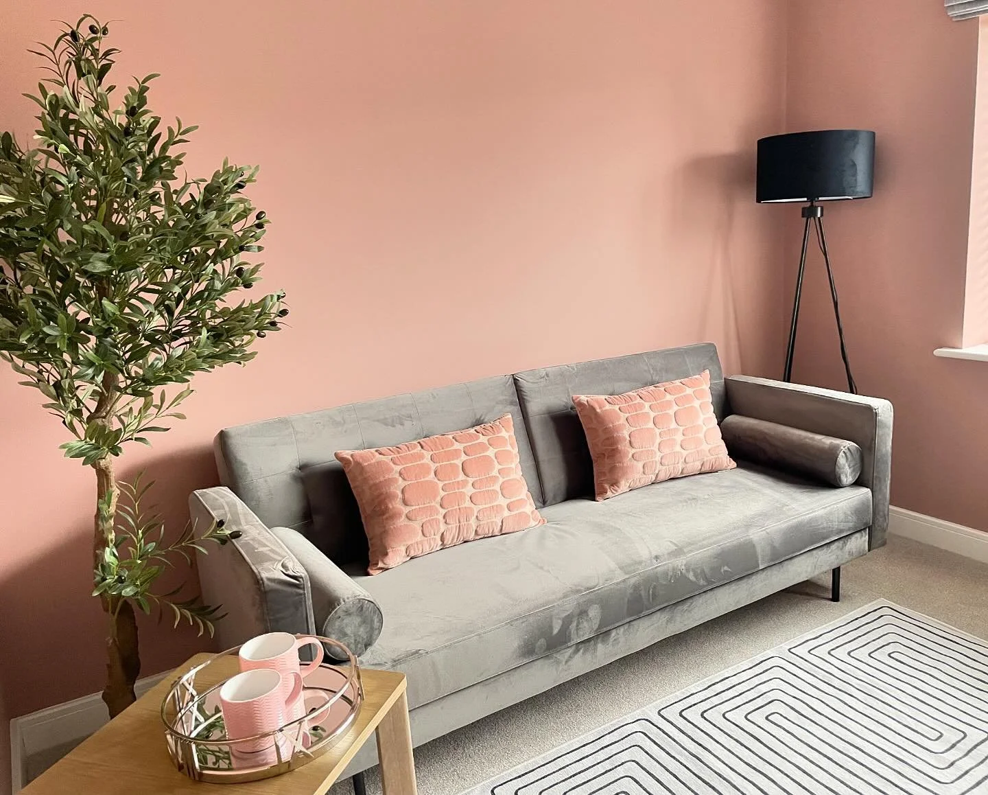 SNUG ▪️

Sharing my recent projects snug 🌿 

I love this grey velvet sofa bed teamed with @farrowandball sulking room pink walls and dreamy accessories. The cushions are perfect. All items available from the shop 😀