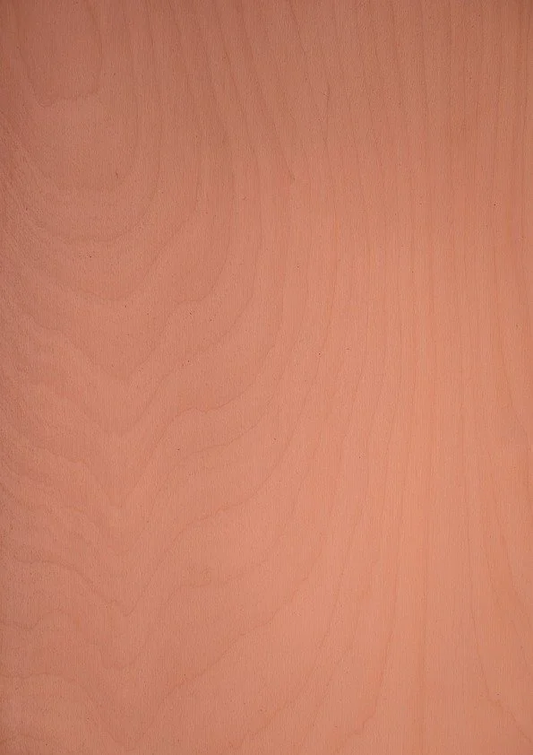 Sorbet