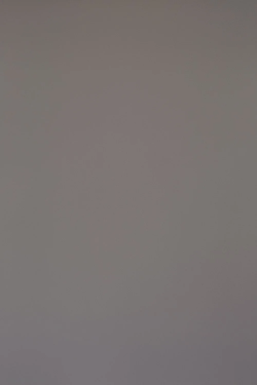 Lemoine Natural Paint — Atelier Ellis
