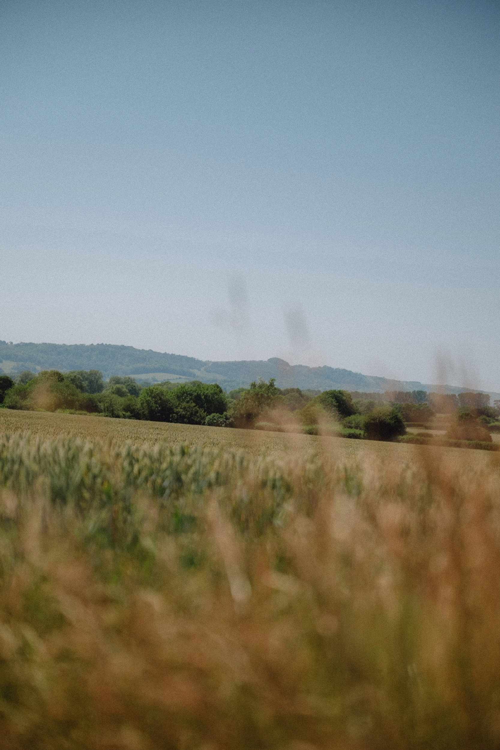 Farm on which the Atelier Ellis manufactory is located.