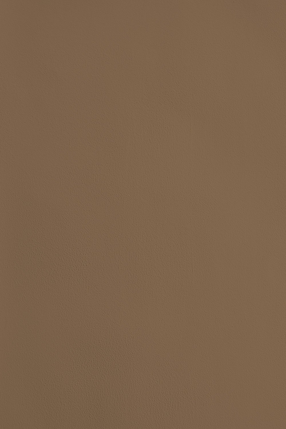 Website Colour Swatches - Coming Up Roses.jpg