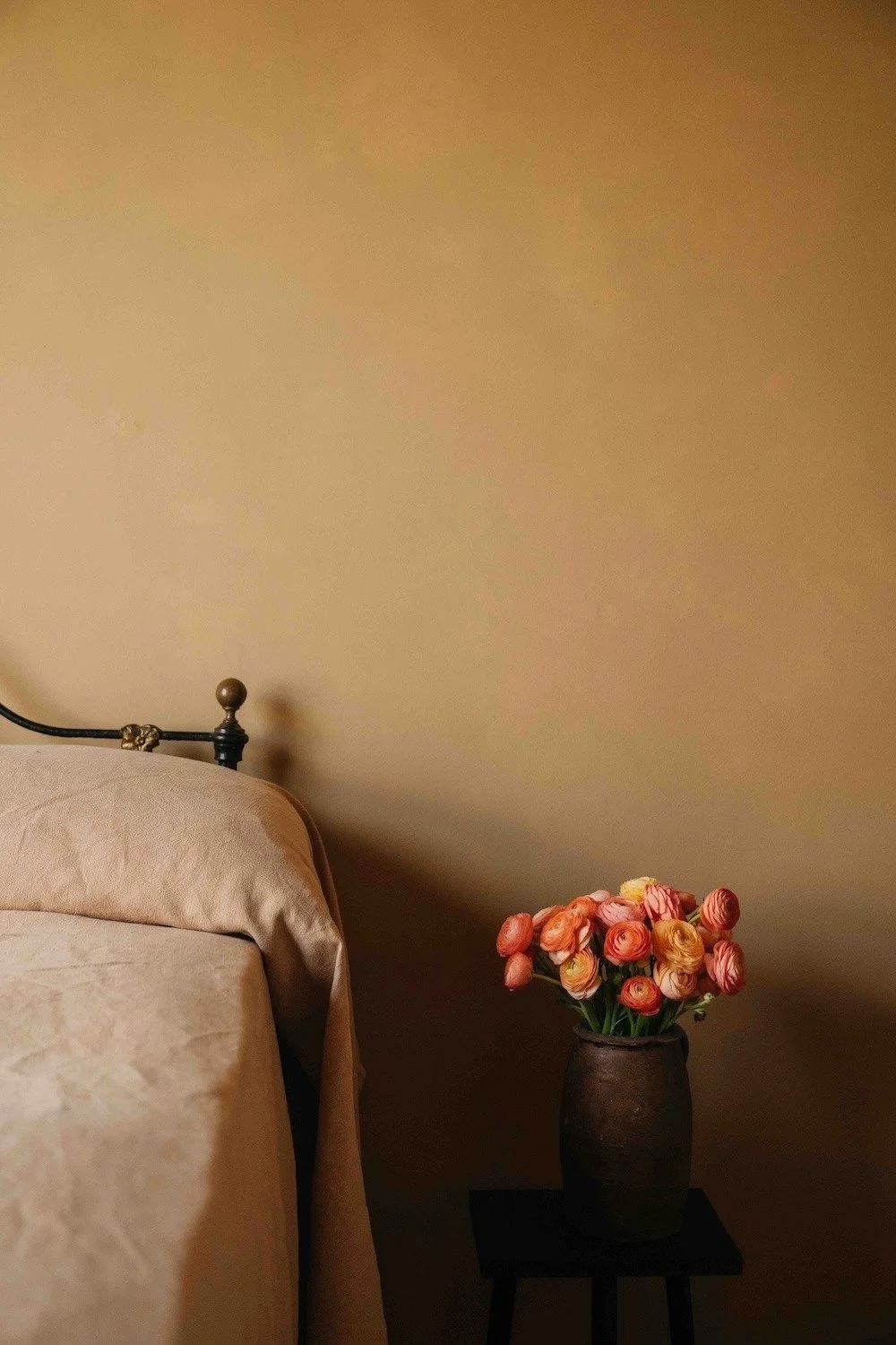 Bedroom wall painted in the breathable paint colour Pluck, a smooth and valuable ochre tan.