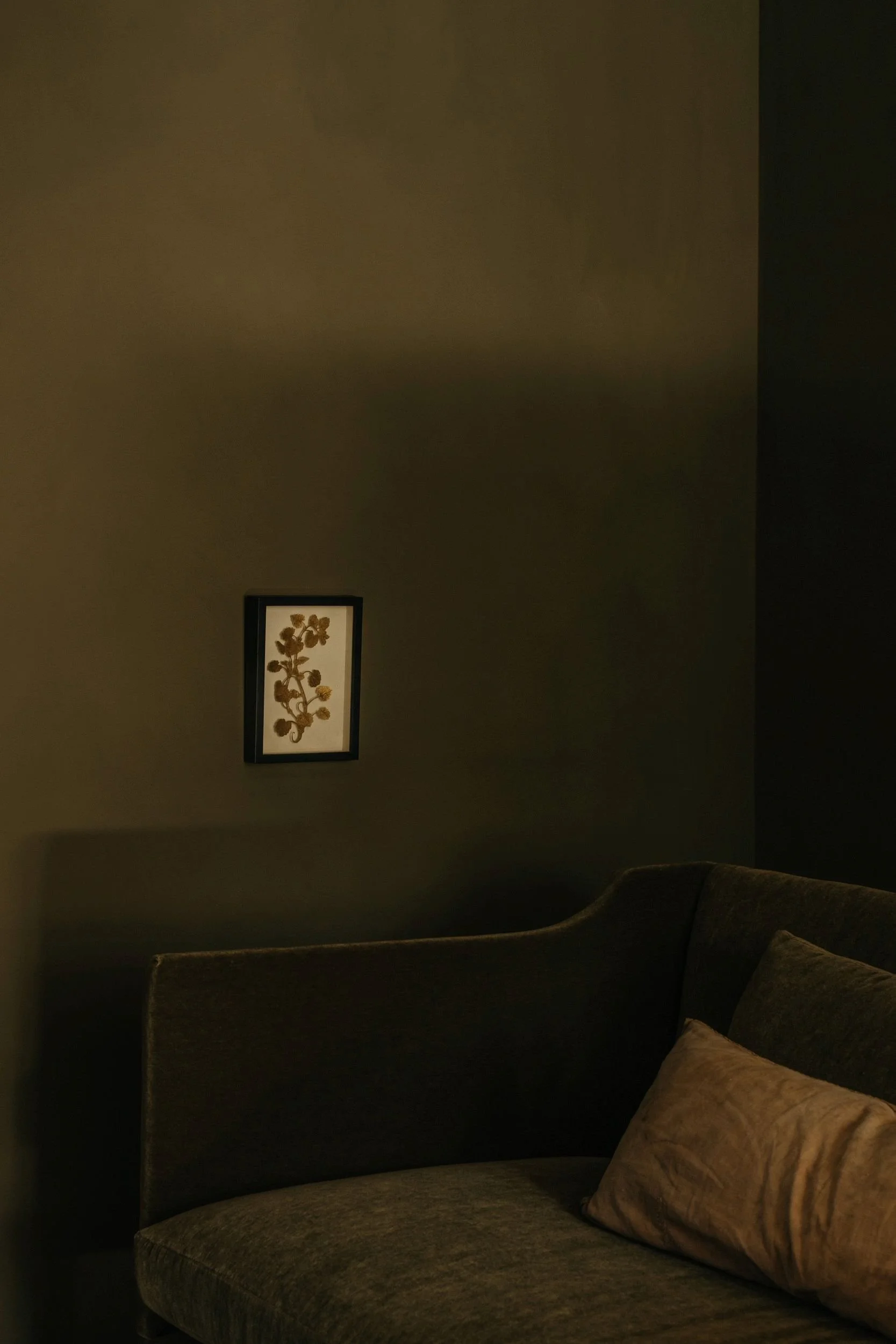 Atelier Ellis' colour Is-land, a sunlit olive green.