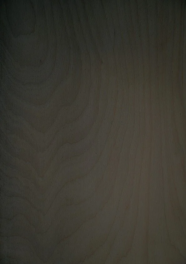 Sugi