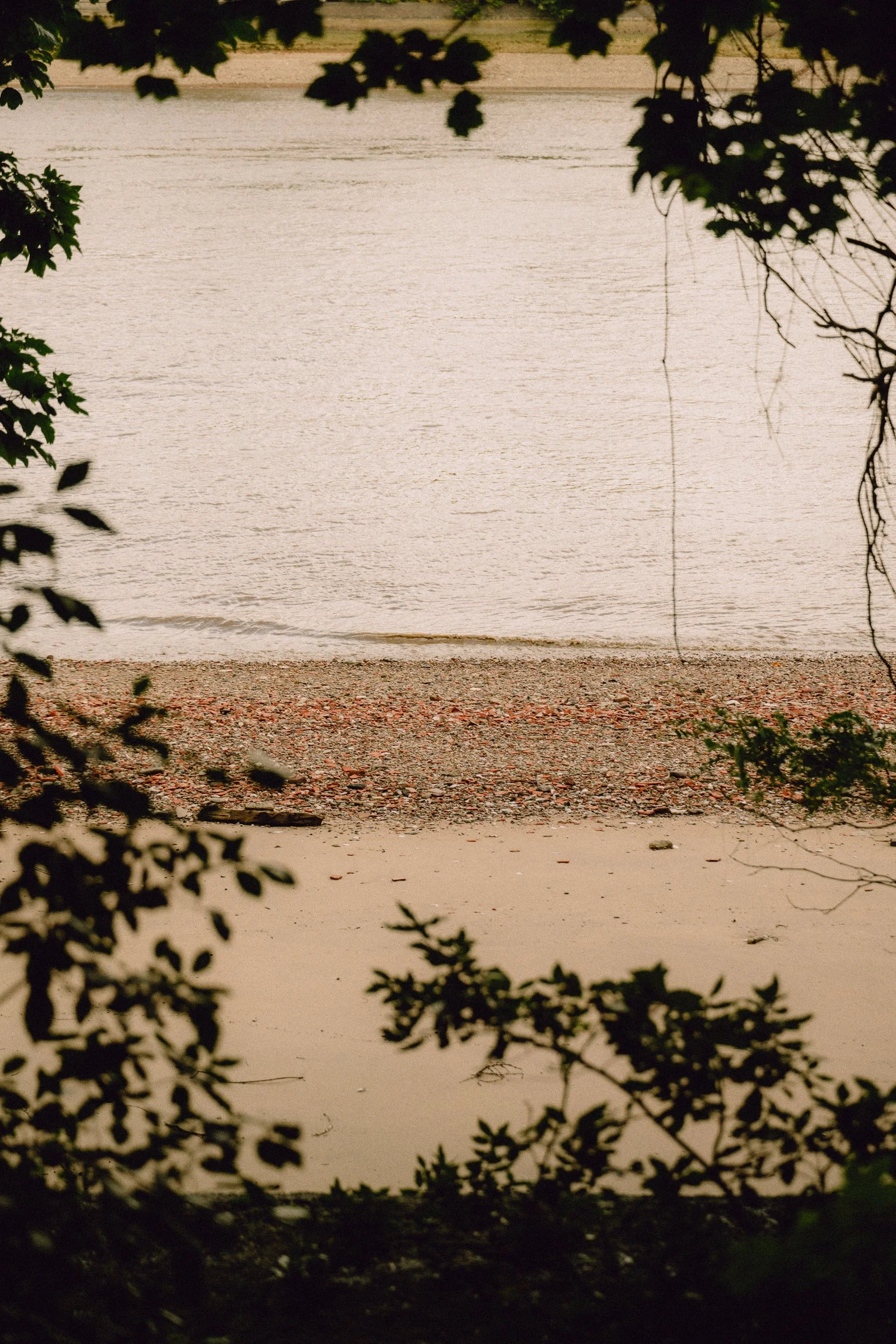 Thames 'beach' full of pebbles, which inspired Atelier Ellis' colour Pluck.