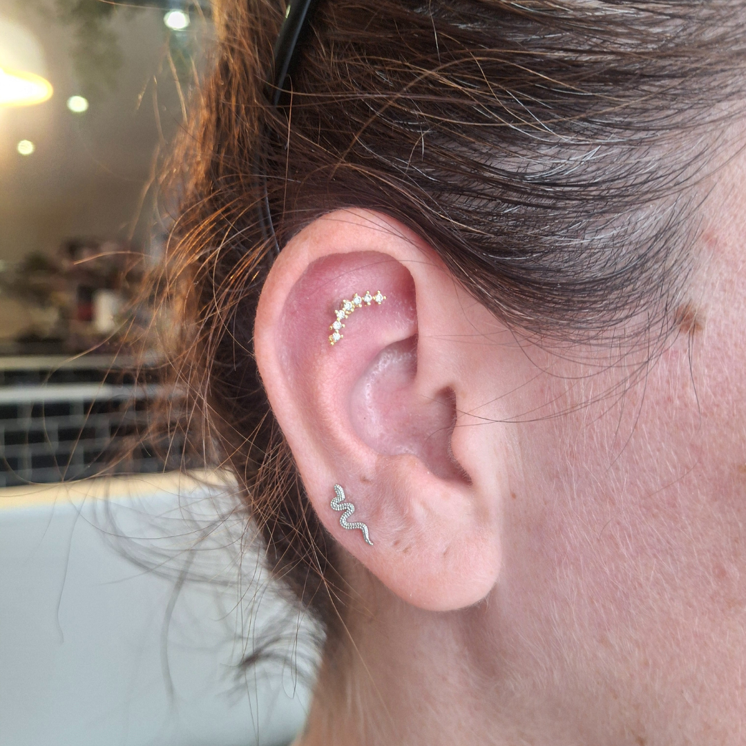 Piercings with Genevieve Piercings professional piercer qualified piercer curated ear specialist ear piercings nostril piercings nipple piercings jewellery styling discoballxgenevieve piercing jewellery piercing party group booking children and teen