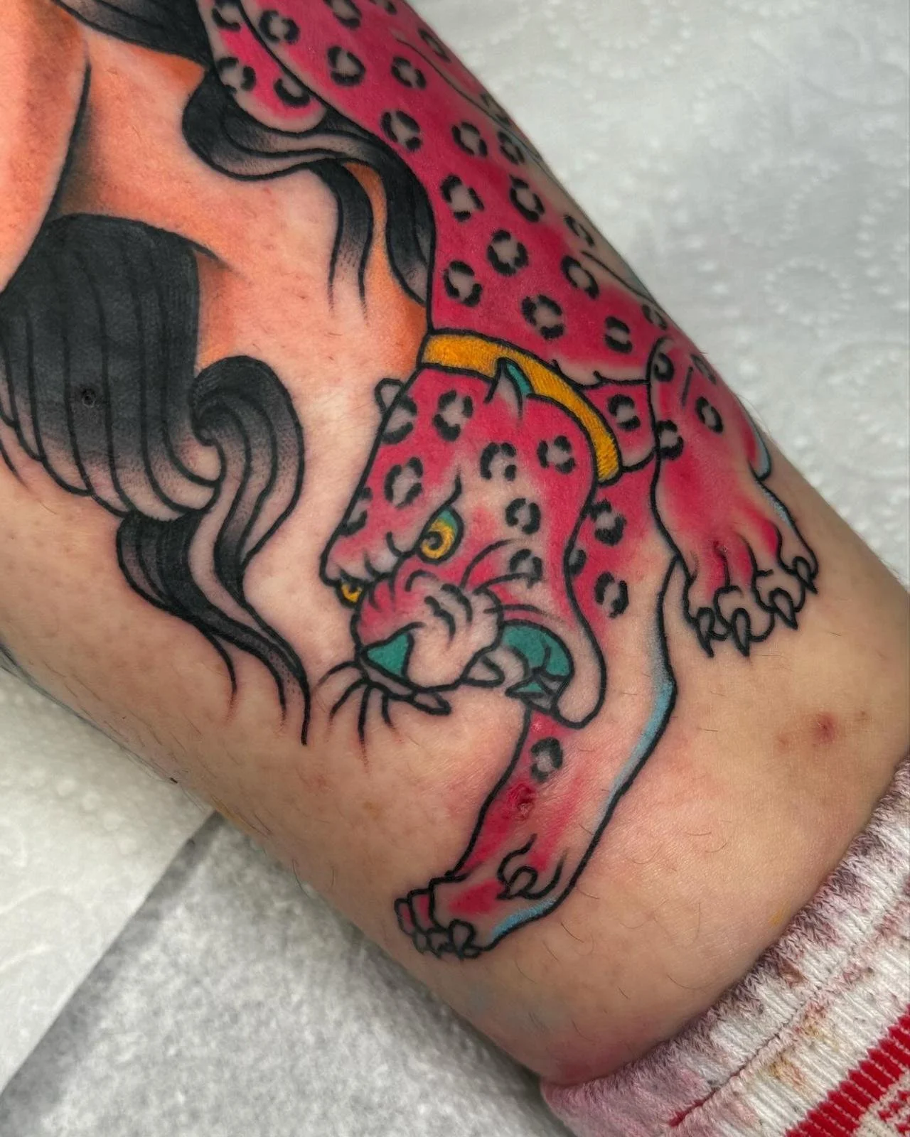 Tom Lindsay traditional tattoos bold tattoos colour tattoos any style of tattoo walk in tattoos southsea kings ship tattoo Portsmouth