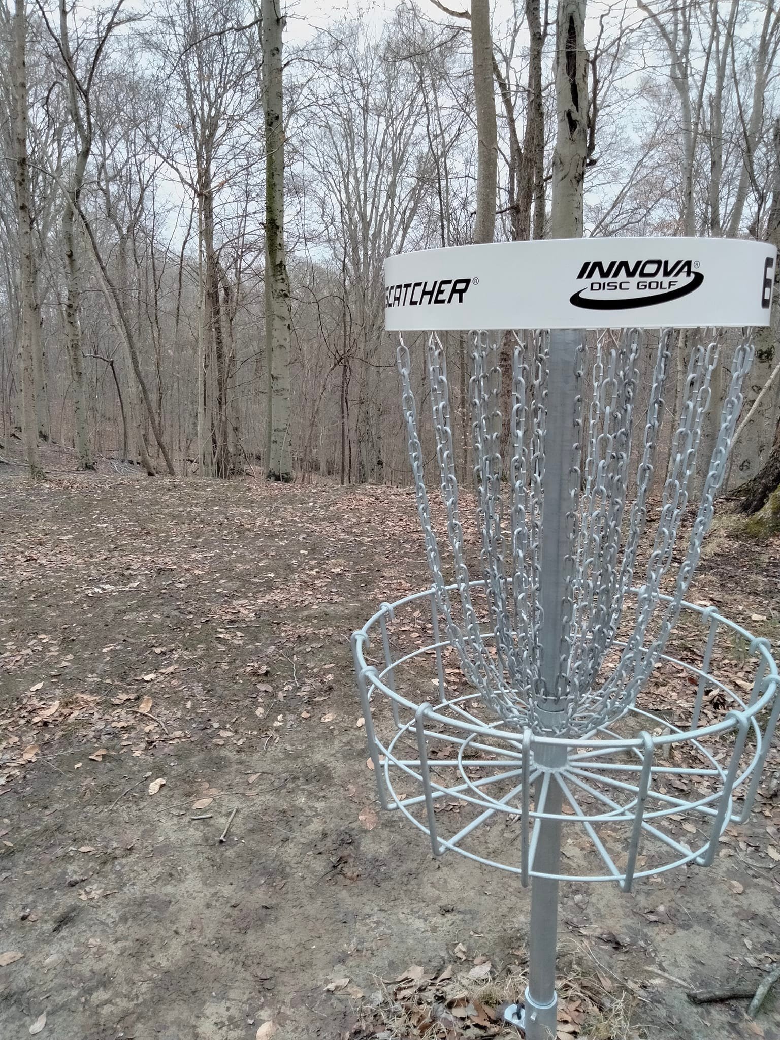 Lobdell Baskets 6.jpg