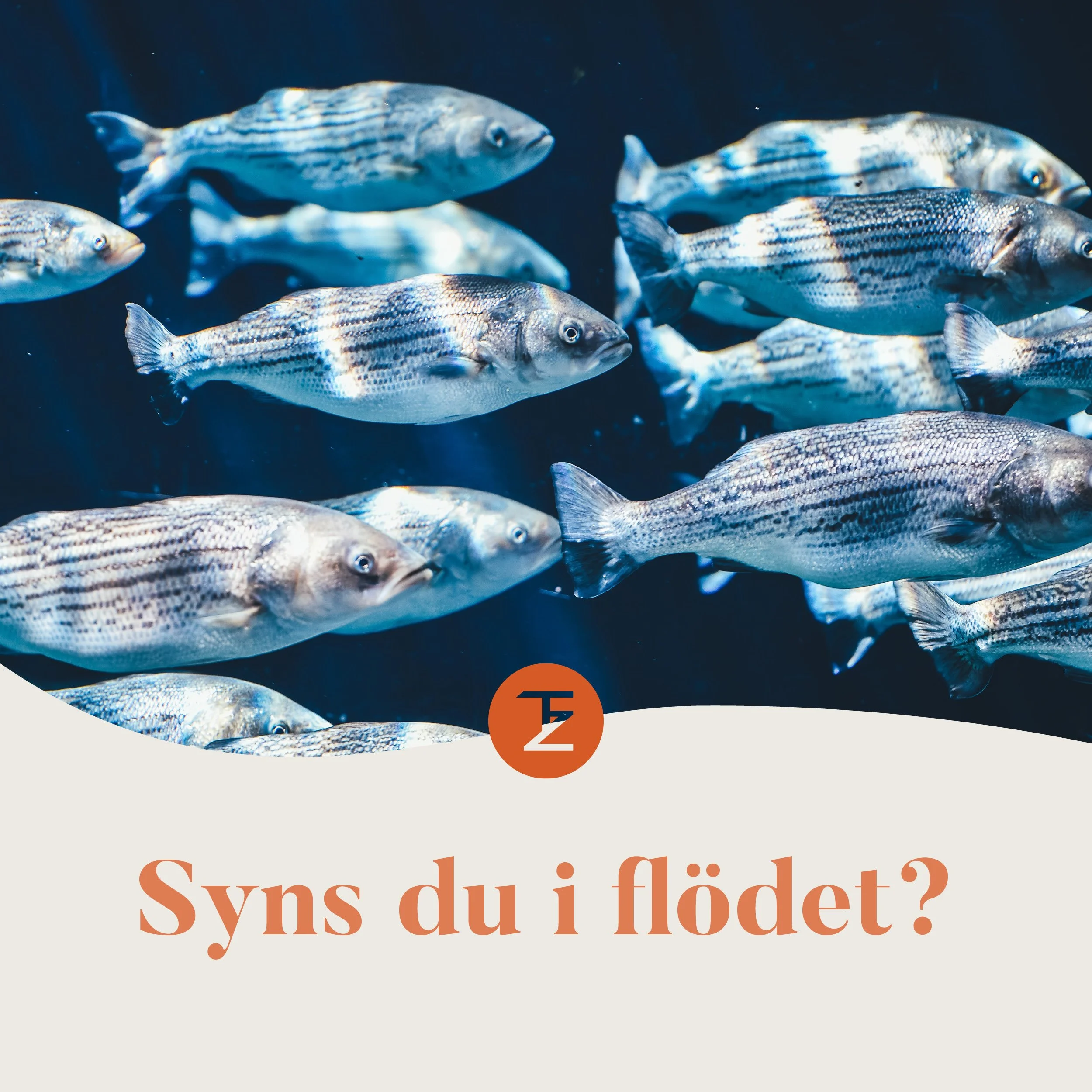 Linked in inlägg fyrkantigt.jpg