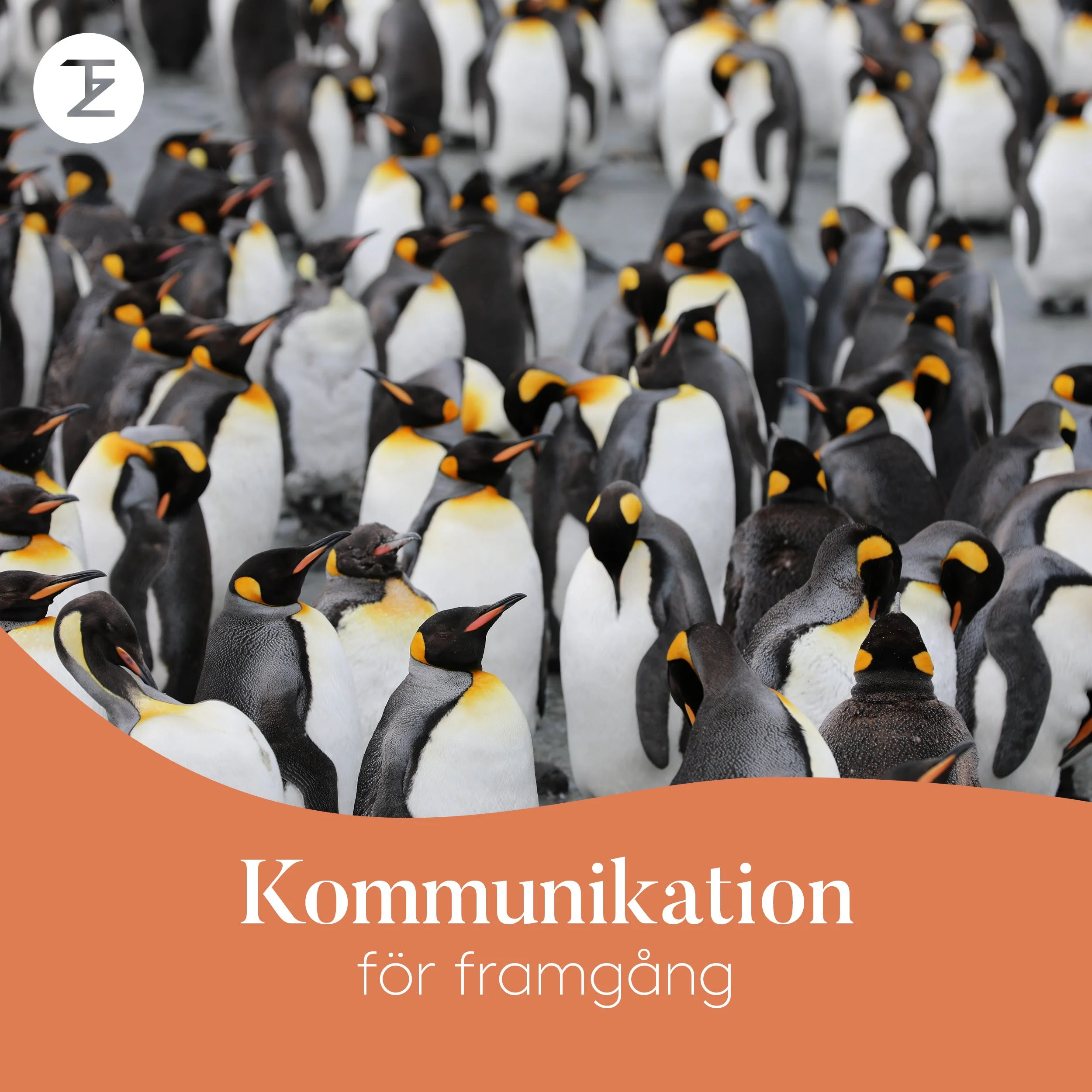 Linked in inlägg fyrkantigt13.jpg