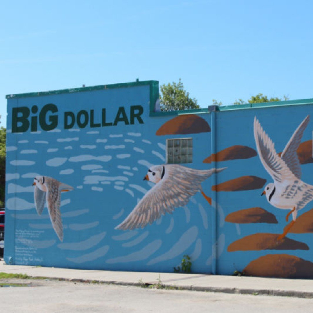 Unique murals around every corner in Selkirk, spend the day going on a FREE walking mural tour to discover the meaning and creation of over 25 murals around the city on the Drfitscape app! 

Check out the tour on the Driftscape app or our website. Li