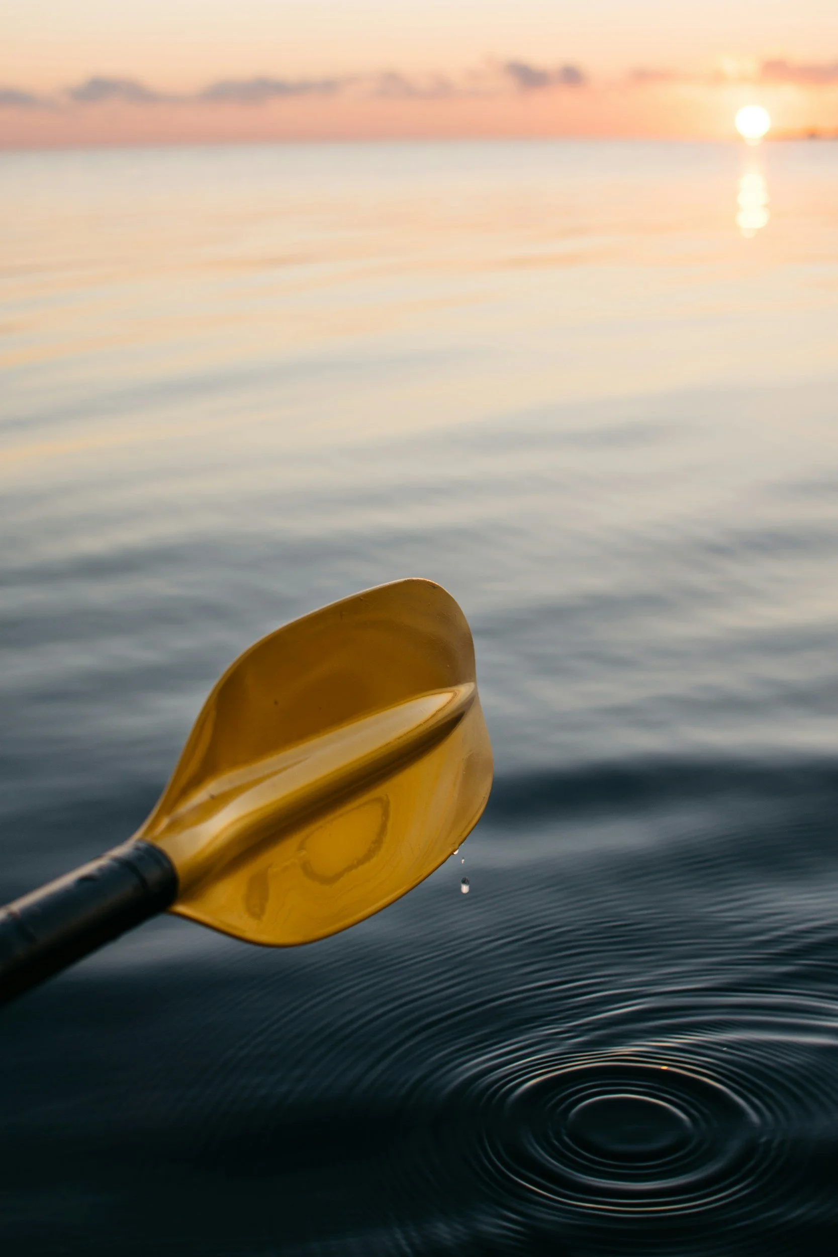 Evening Canoe Excursion
