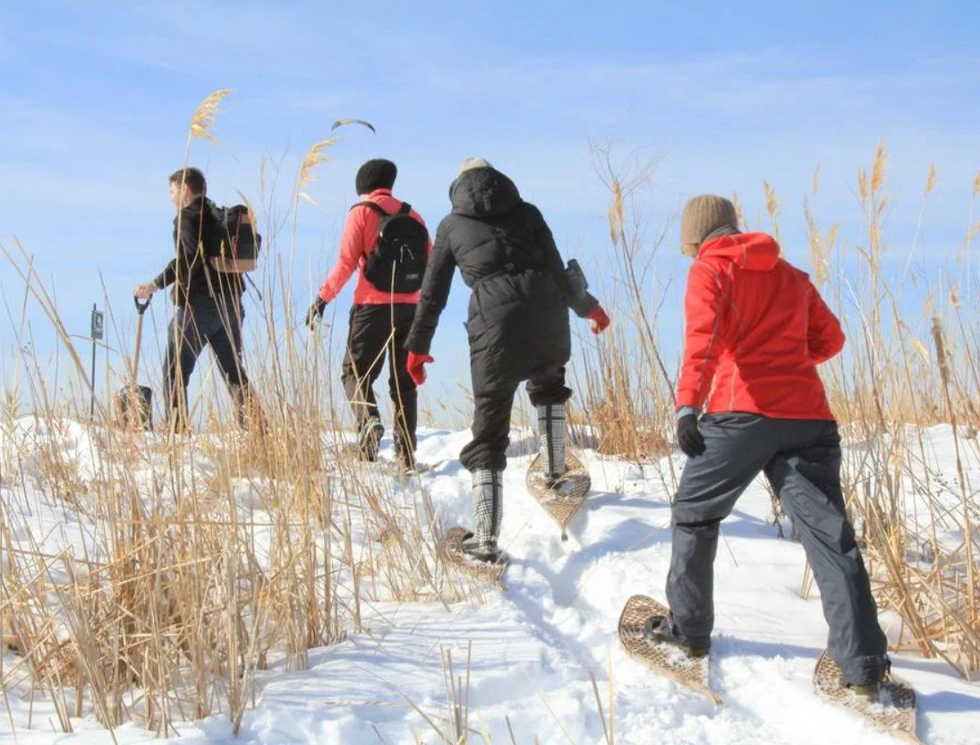 Oak Hammock Marsh Showshoe Ski Hike