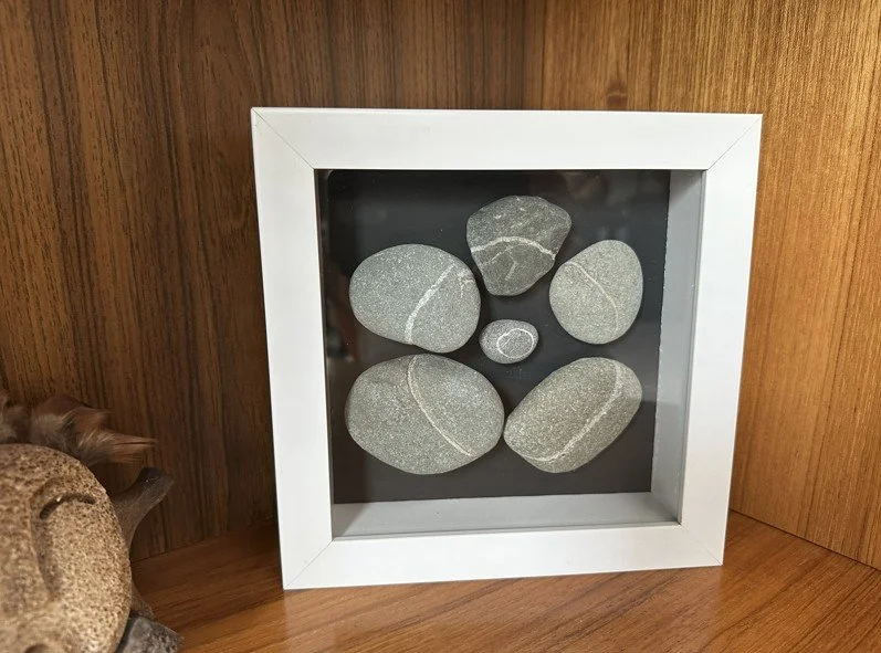 Kim wilson11.jpg