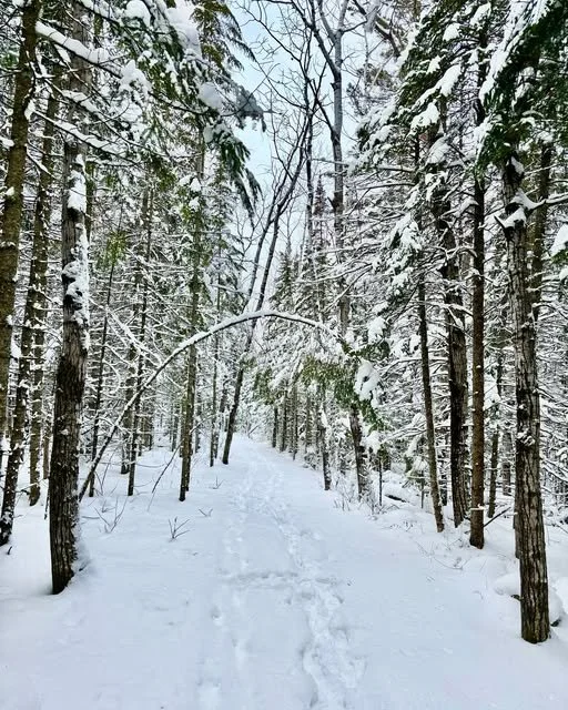 Brokenhead Wetland Trail Unique Manitoba Winter Hike
