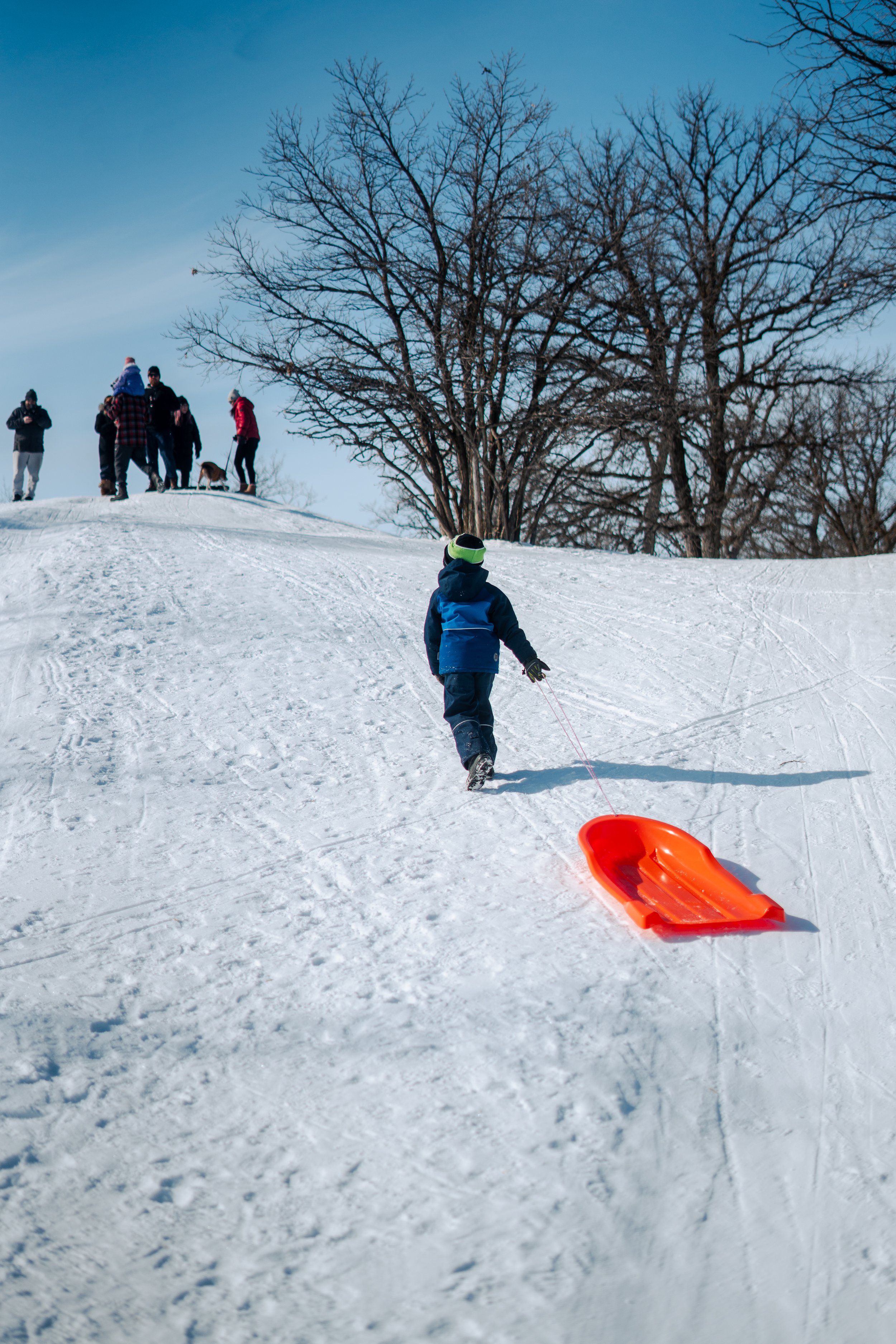 Sledding Little Lake Park City of Selkirk Interlake Manitoba
