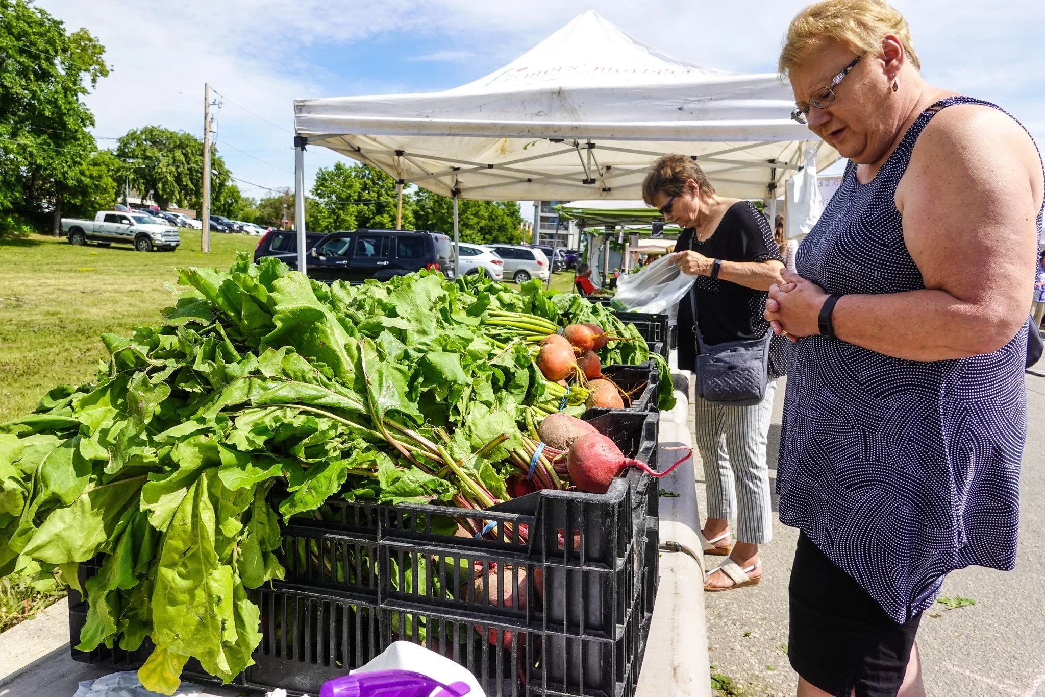 Markets in Selkirk, St. Andrews, St. Clements. Outside Winnipeg, Manitoba.