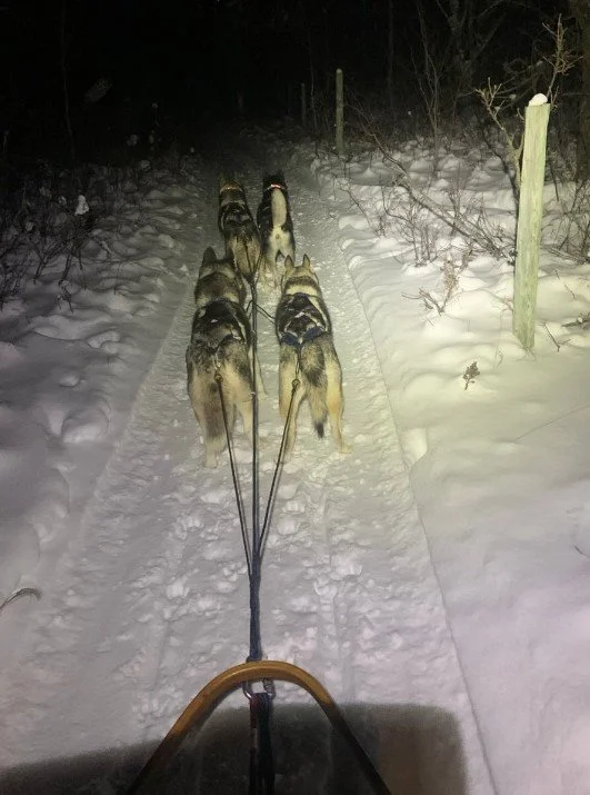 River Siberian Dogsled-3.jpg