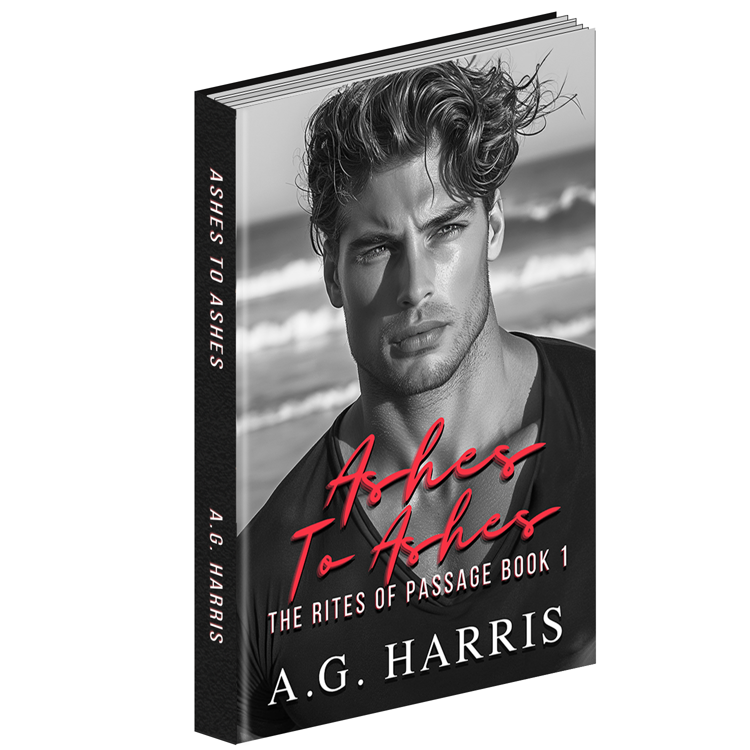 3d book ashes to ashes.png