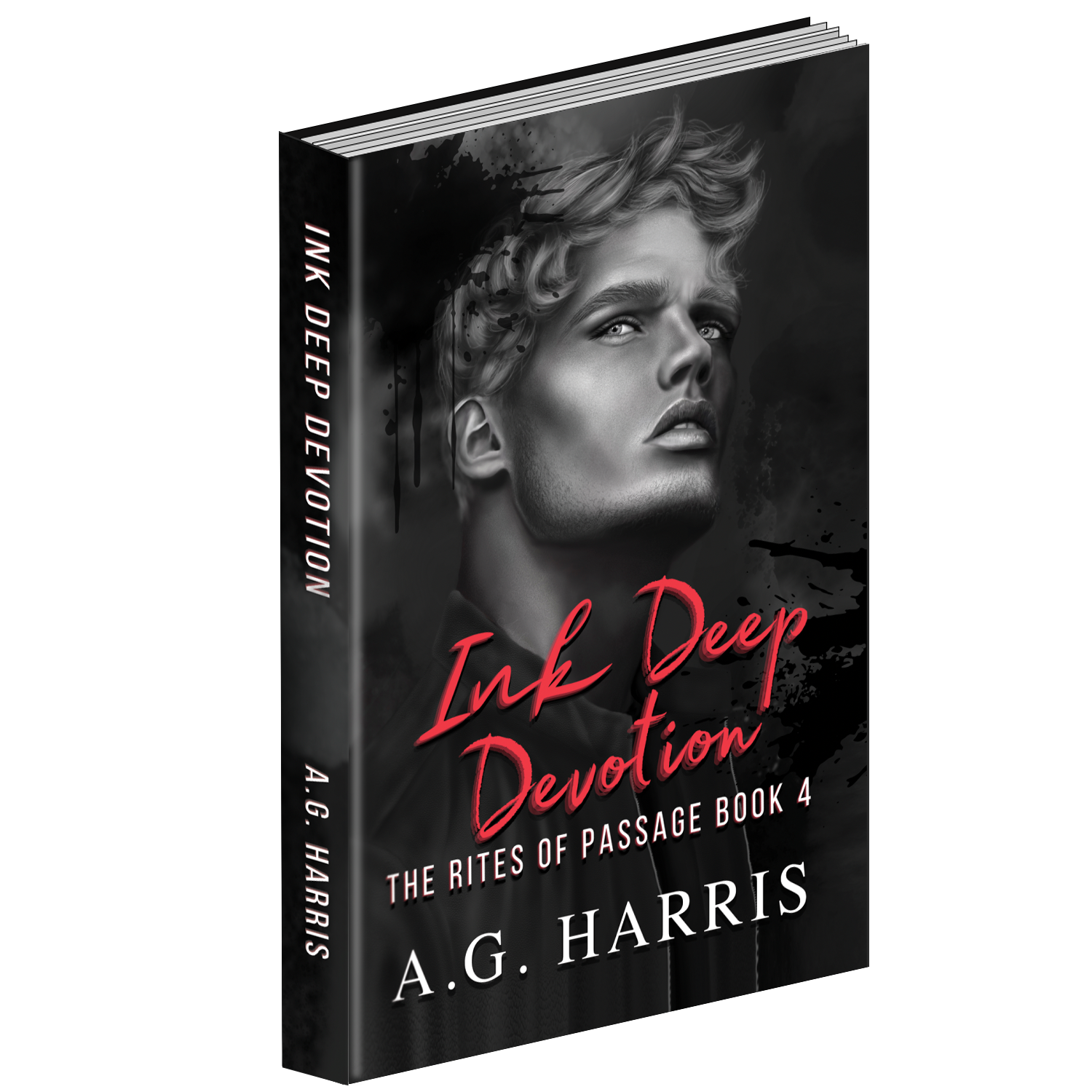 3d book mockups ashes to ashes.png