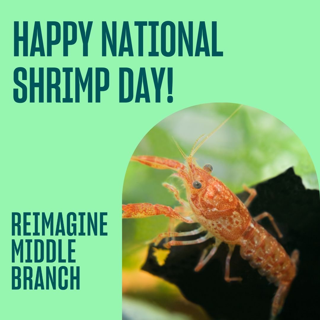 Happy National Shrimp Day! Did you know? By protecting the shoreline and expansion of intertidal habitat, the Middle Branch has the potential to become an urban wilderness that supports a wide array of wildlife, including grass shrimp! It's shrimp-ly