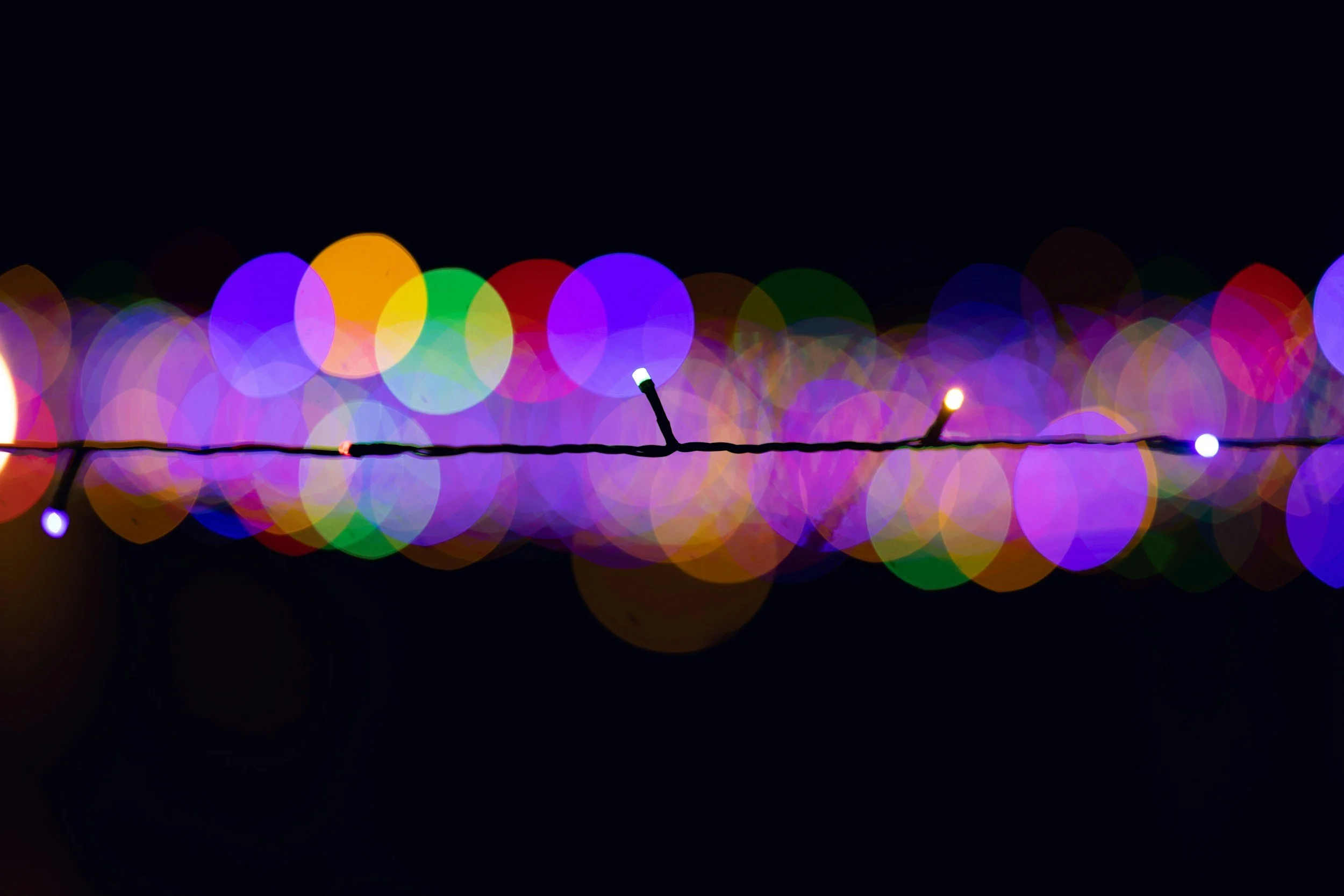 Reconnecting to What Matters: A 2025 Year-End Reflection