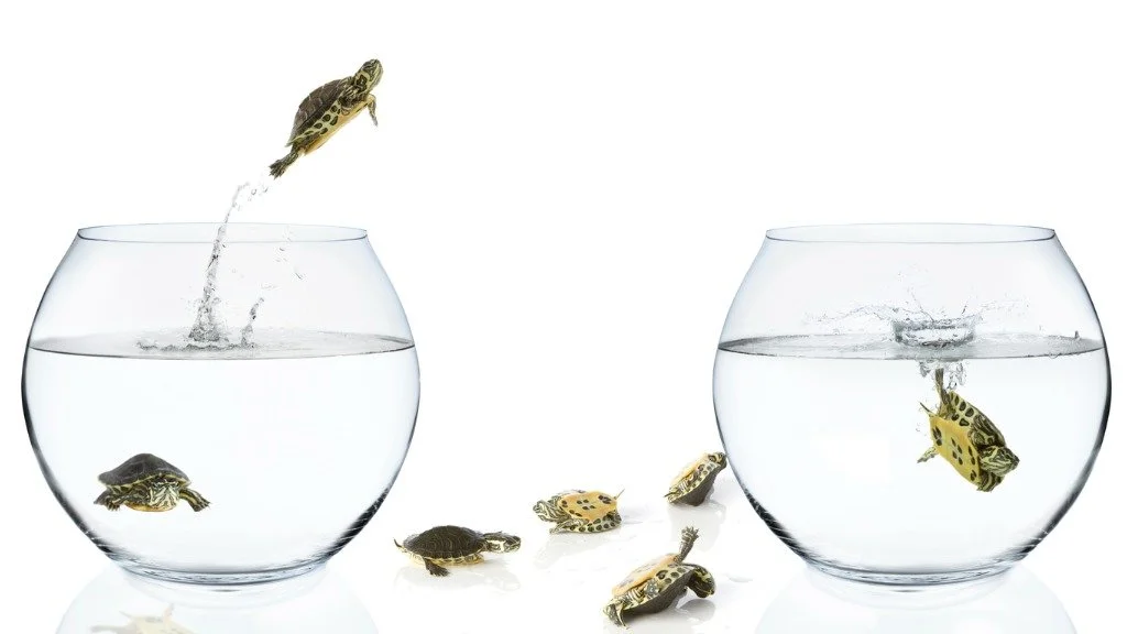 Case Study: Nurturing Shaved 54 Days Off The Buying Cycle