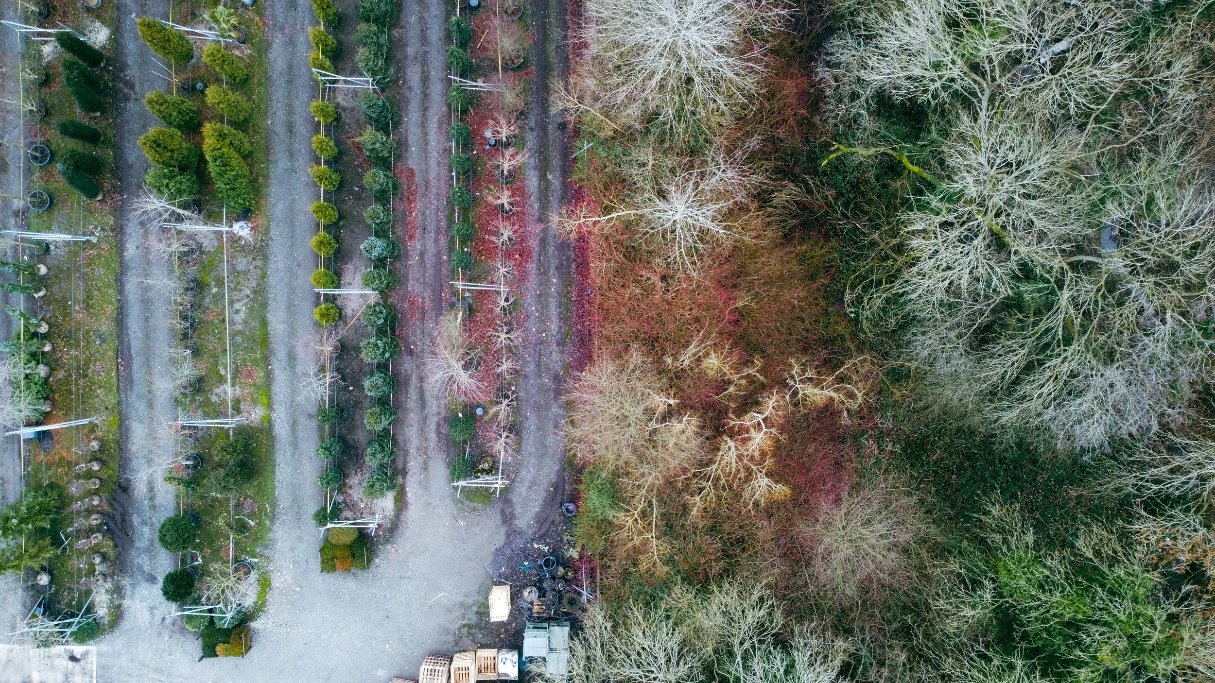 13 acres of specimen trees and plants