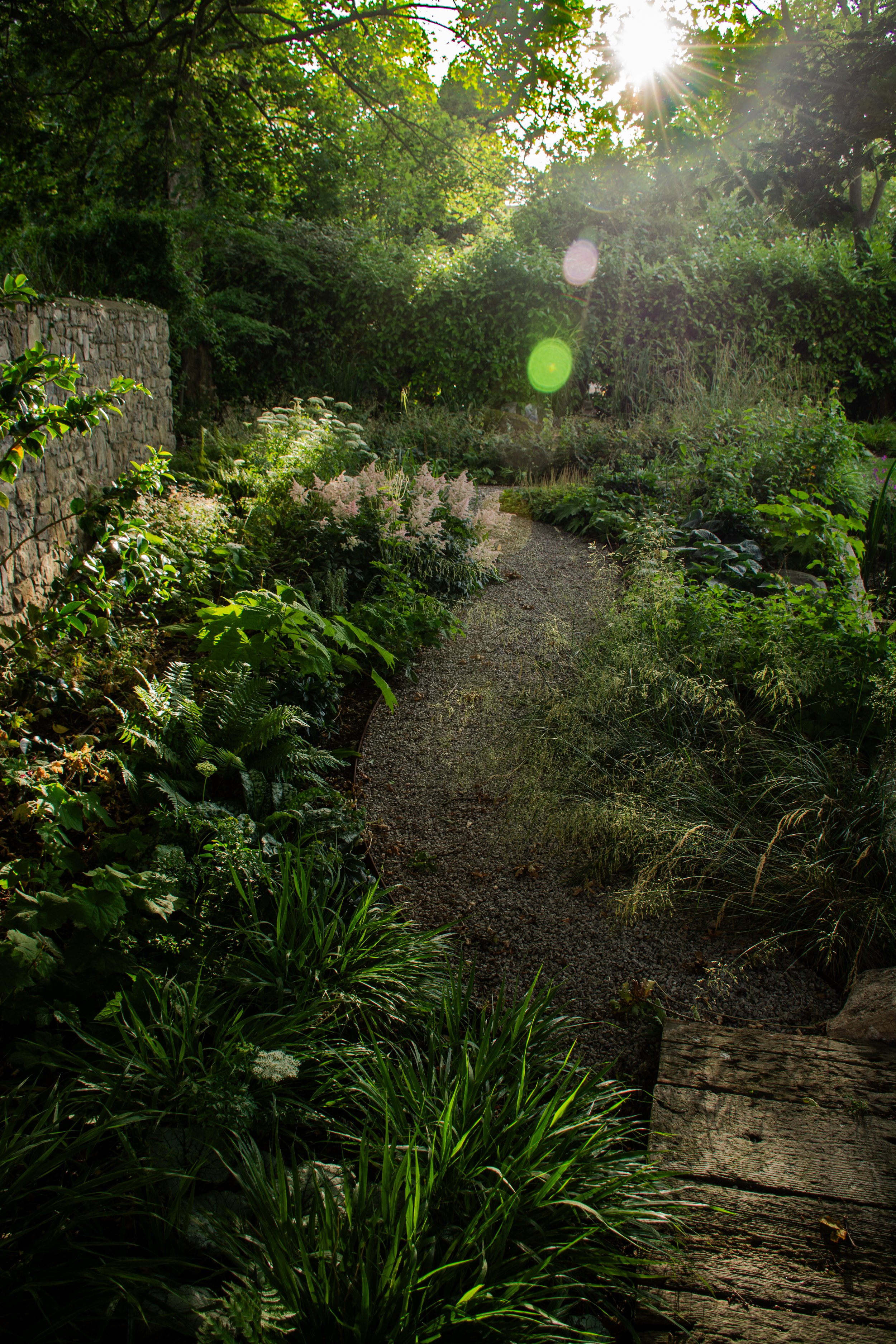 Denbigh Powell Garden (43 of 74).jpg