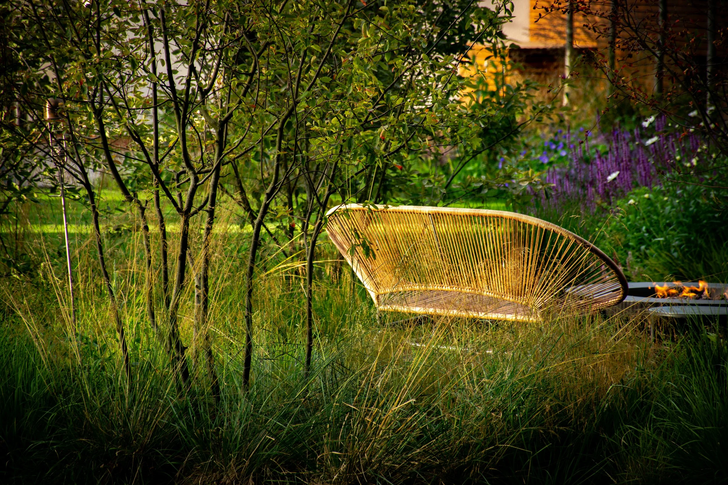 Denbigh Powell Garden (41 of 74).jpg