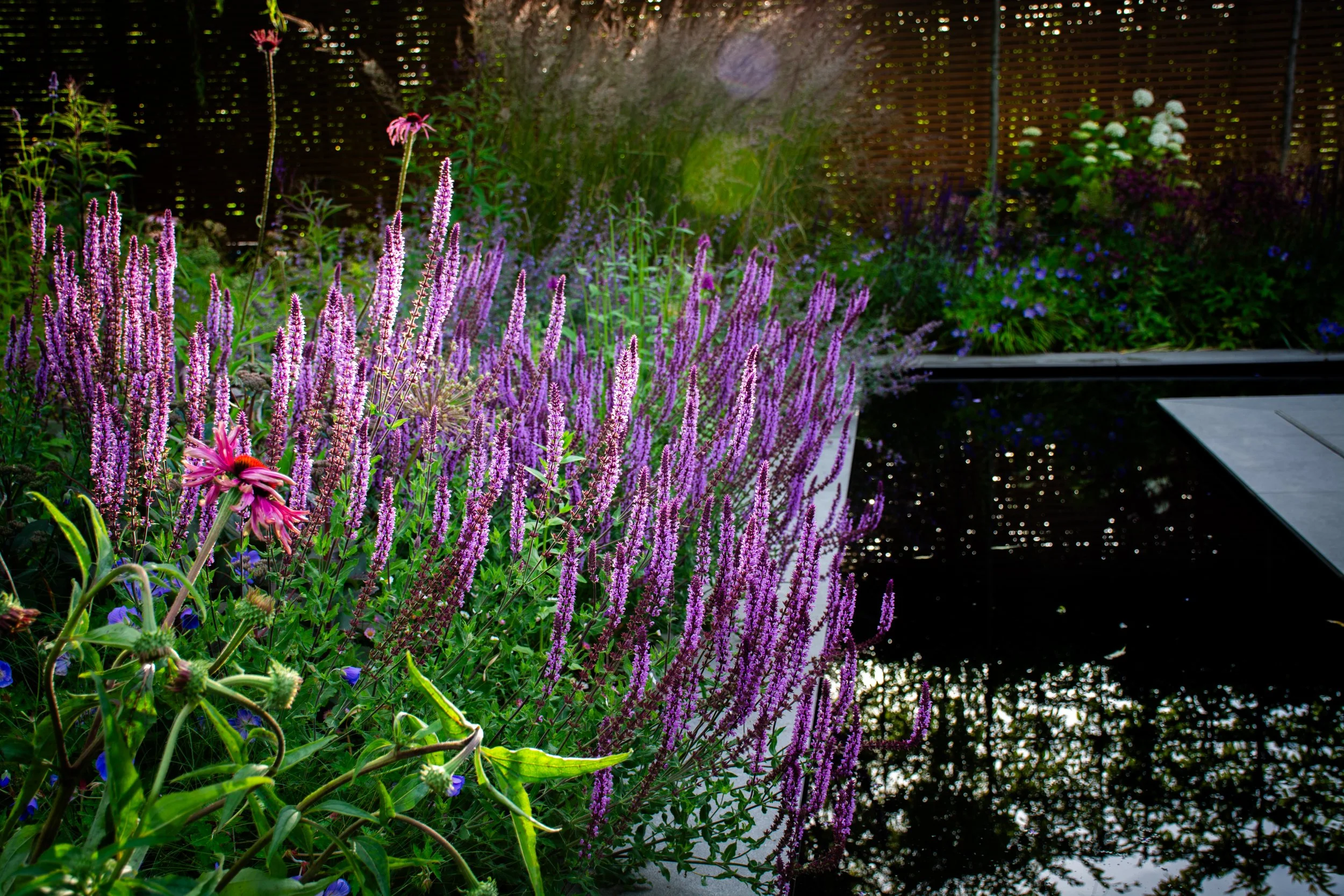 Denbigh Powell Garden (57 of 74).jpg