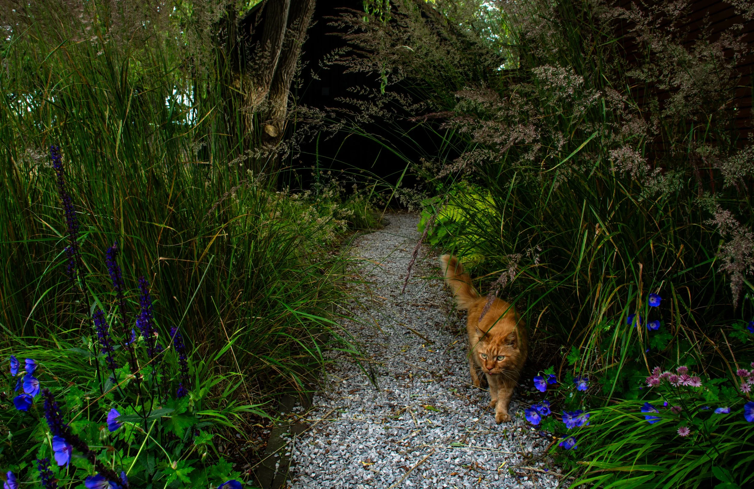 Denbigh Powell Garden (13 of 74).jpg