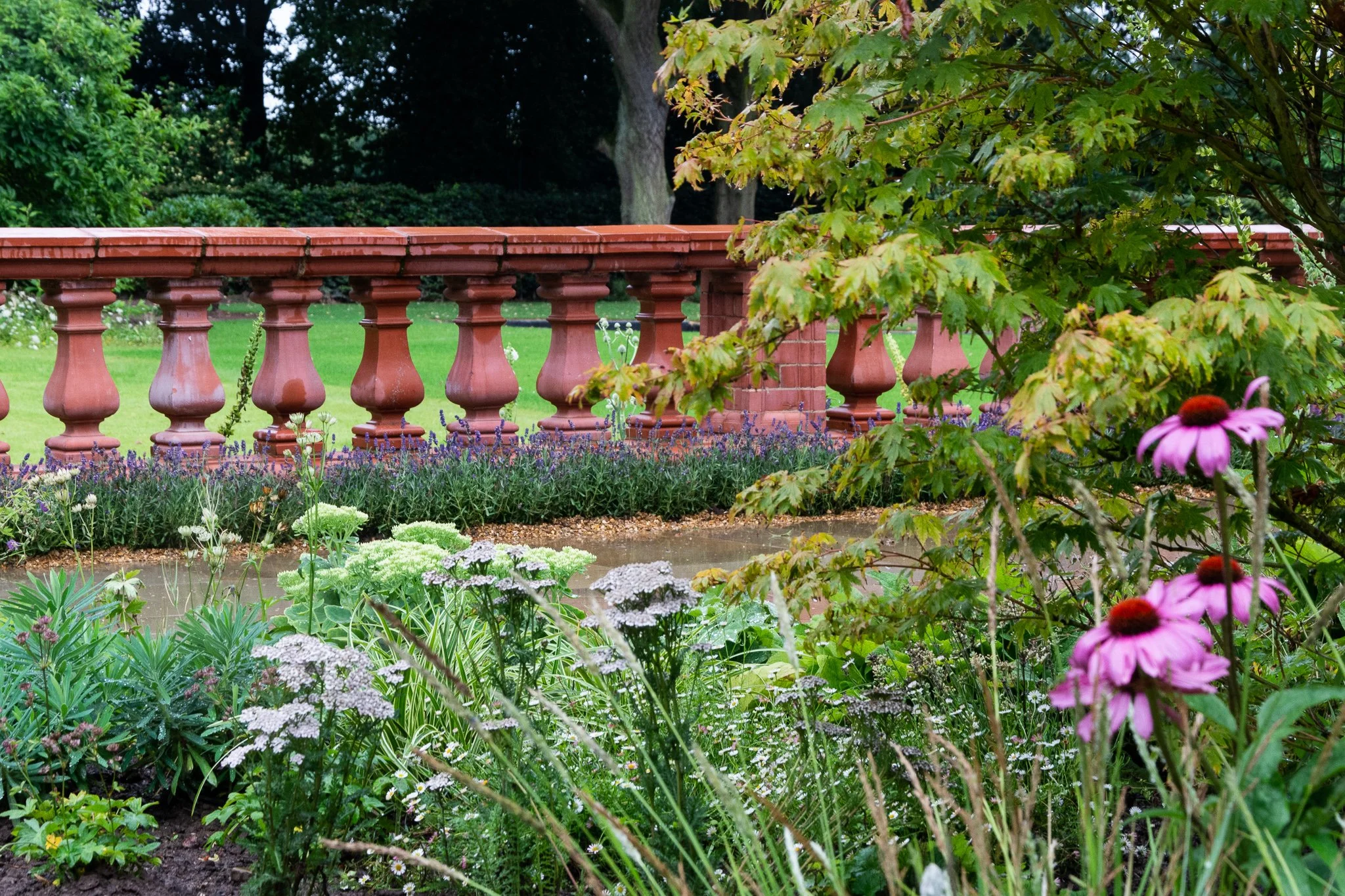 Large Herbaceous & Acers - Residential Development Cheshire