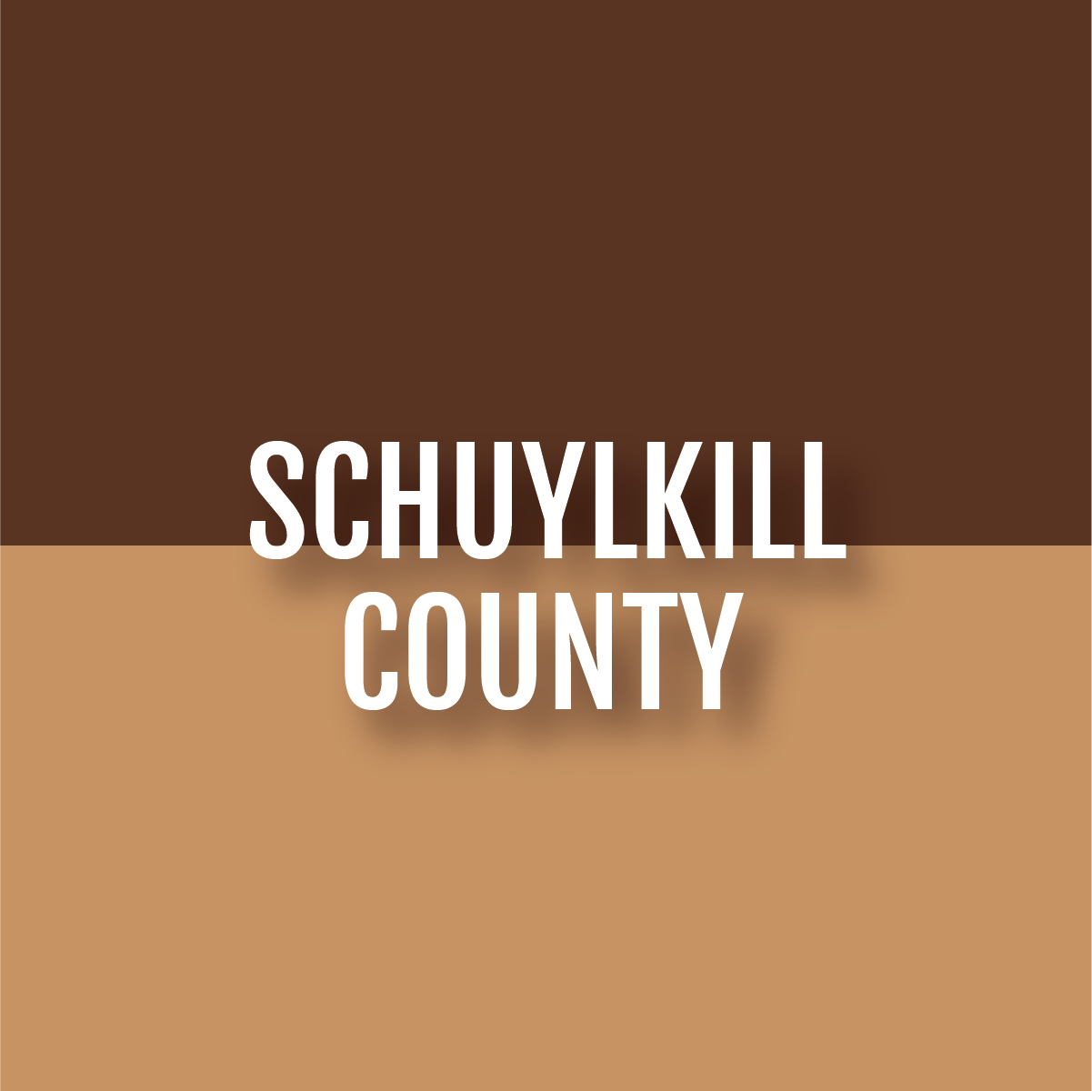 counties-02.png
