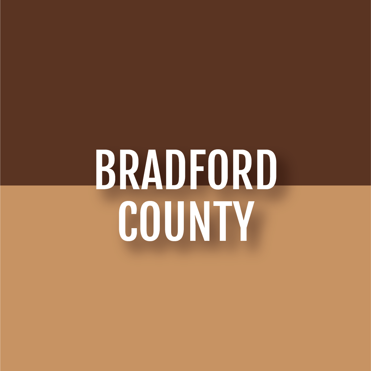 counties-06.png