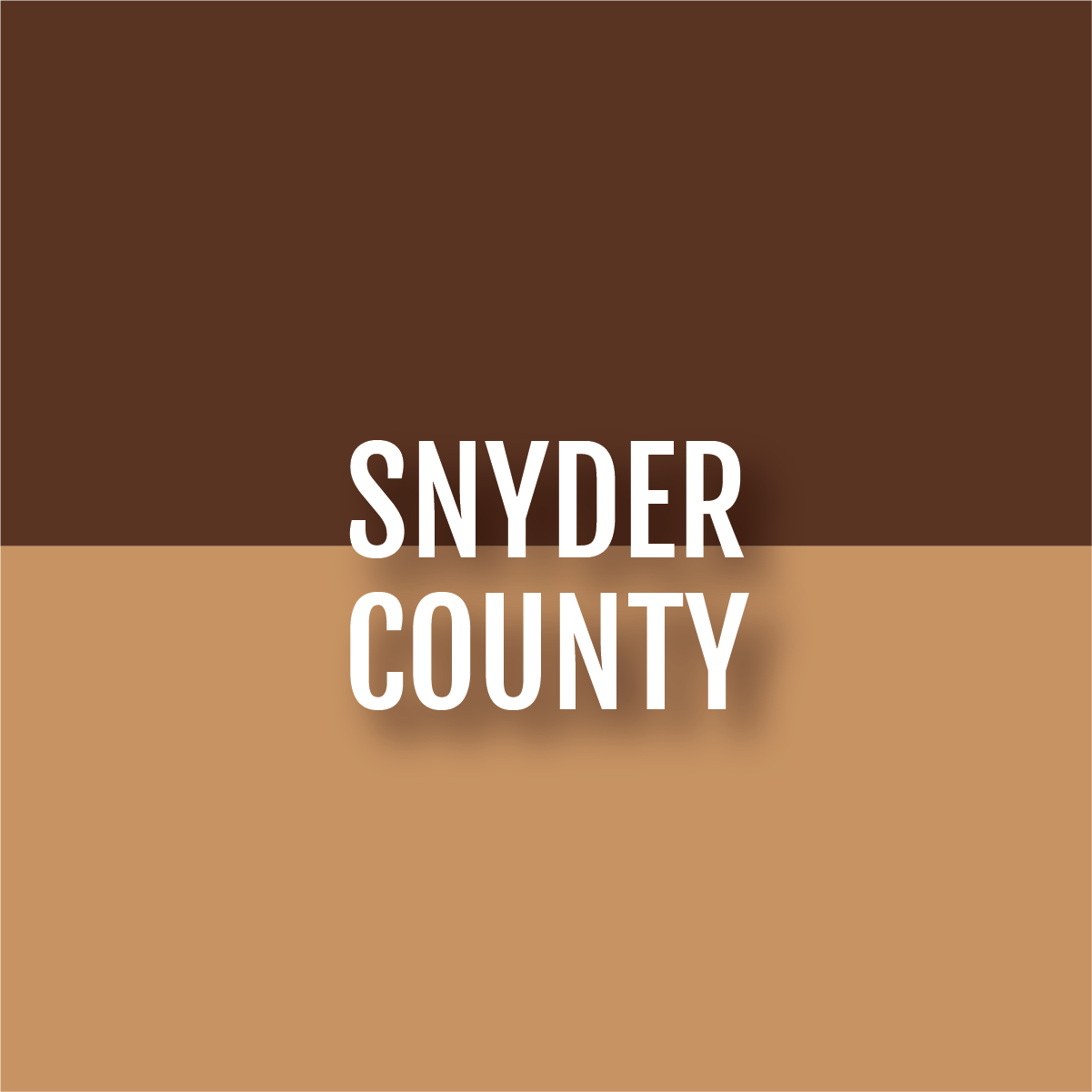 counties-08.png