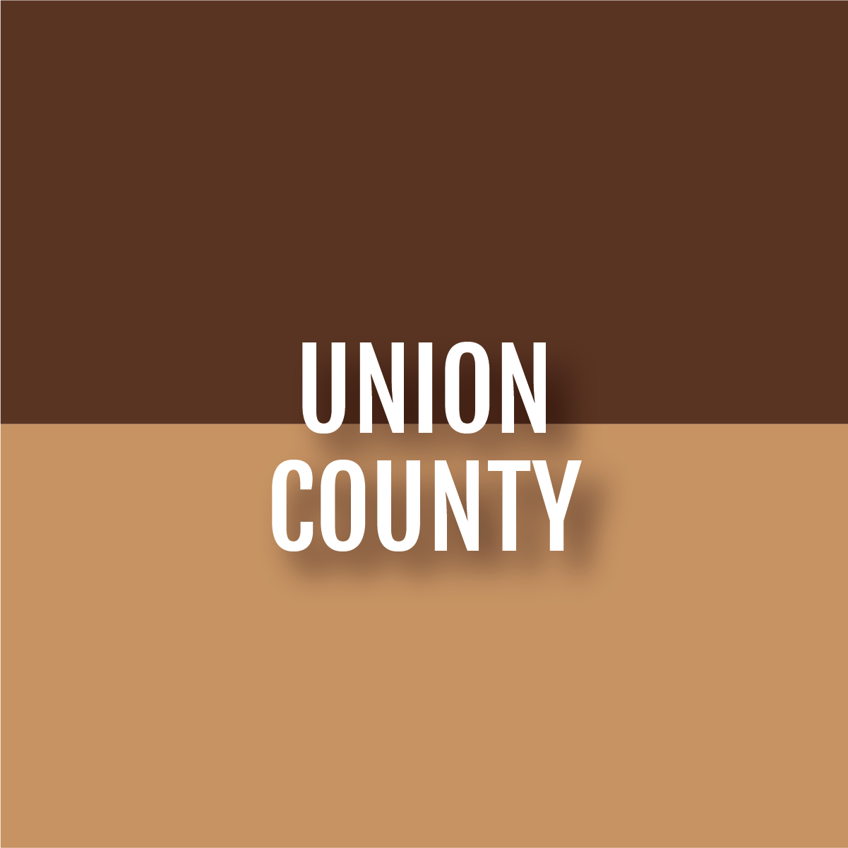 counties-09.png