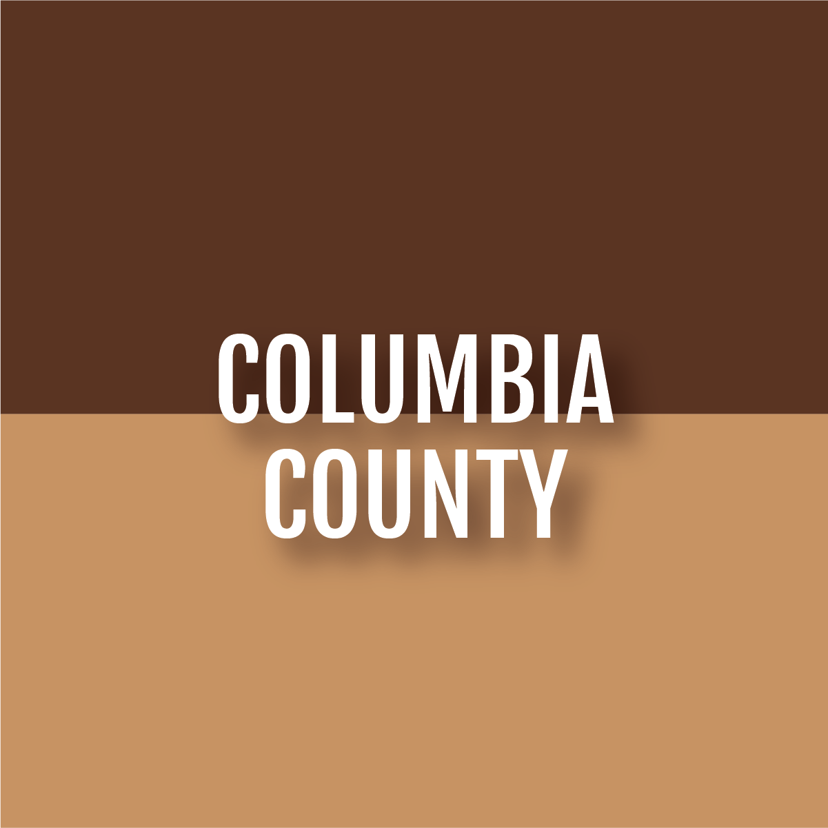 counties-12.png