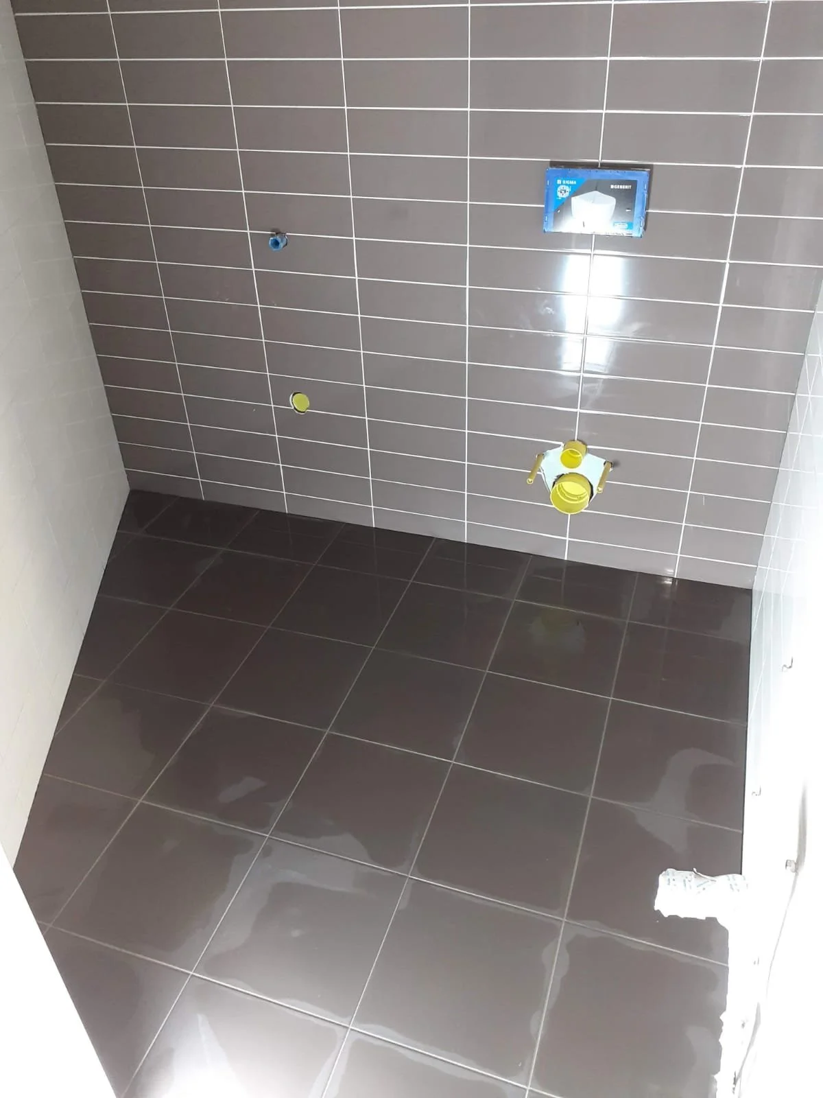 WhatsApp Image 2024-02-08 at 8.46.15 PM (3).jpeg