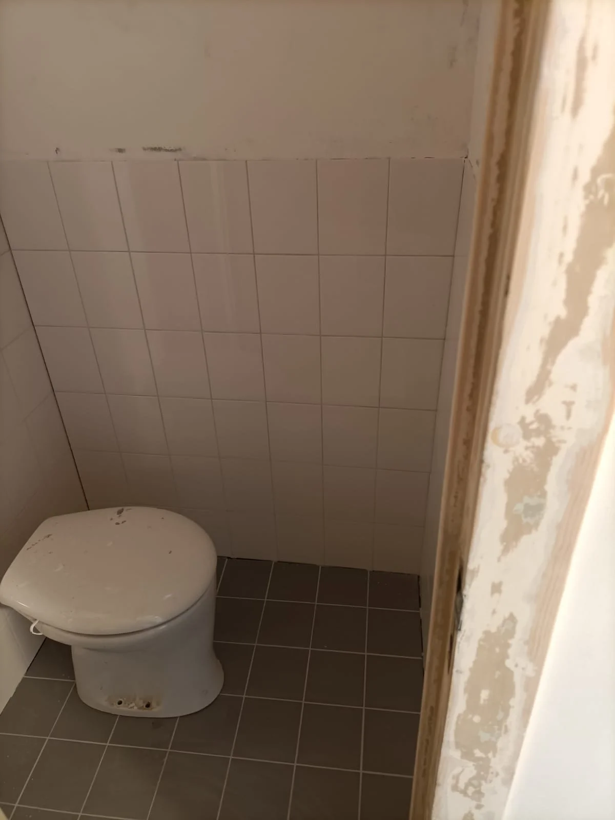 WhatsApp Image 2024-02-08 at 8.46.12 PM (5).jpeg