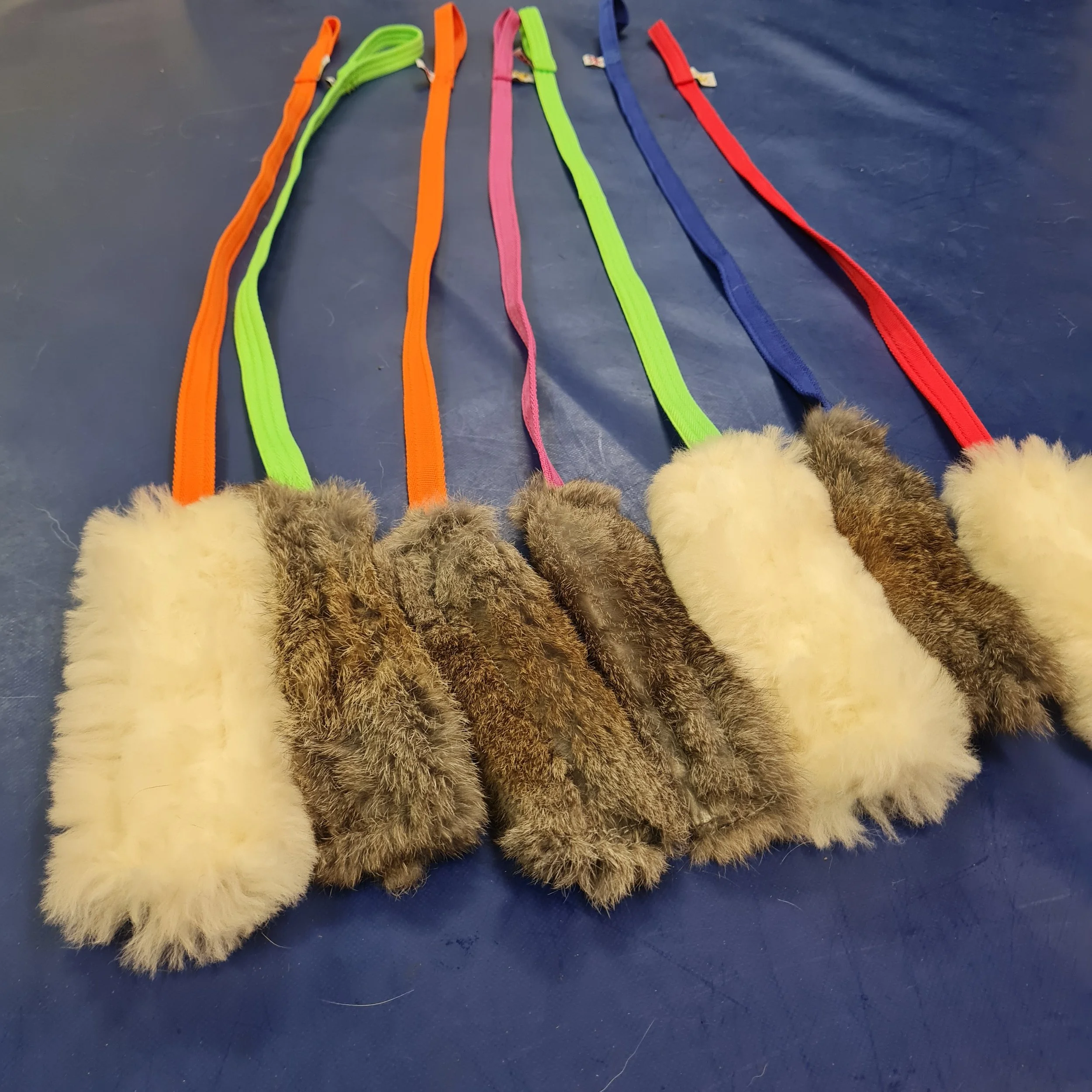 Shop — The Crafty Canine Dog Training Wrexham