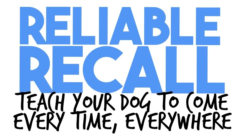 Text that reads 'RELIABLE RECALL' in large blue letters, with a handwritten-style message below that says 'Teach your dog to come every time, everywhere'.