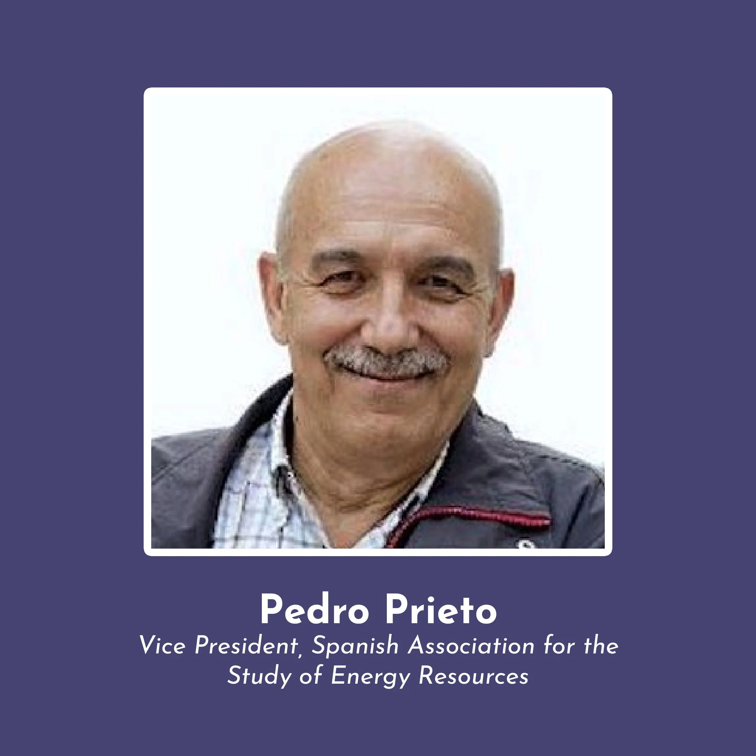 Pedro Prieto — Fragile Electric Grids: Did Renewables Cause the Blackout in Spain?