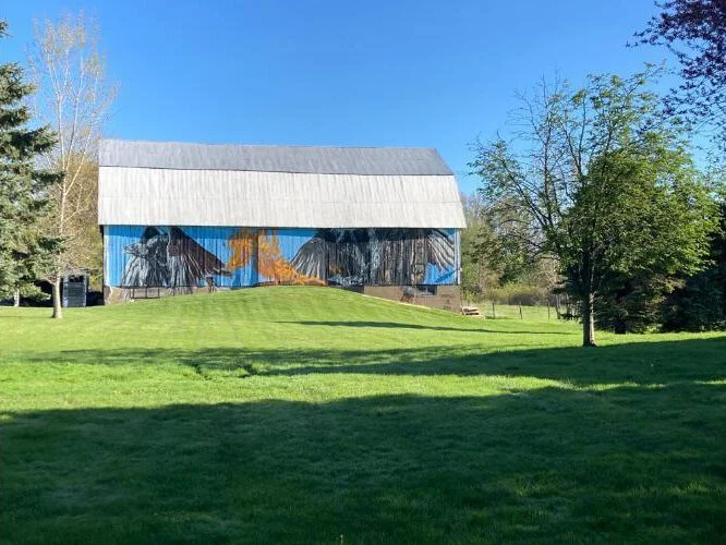 Detroit artist Bakpak Durden’s mural is the latest barn art in Port Austin project
